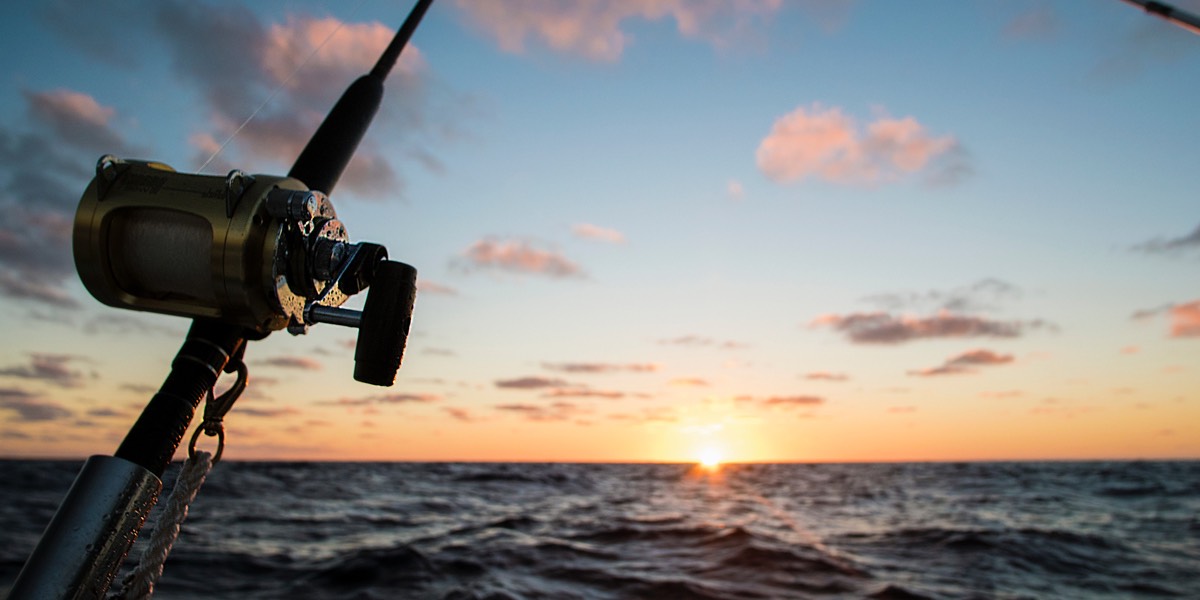 Picture of the sea with a fishing rod in front