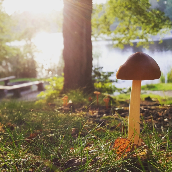 Natur&shy;upplevelser