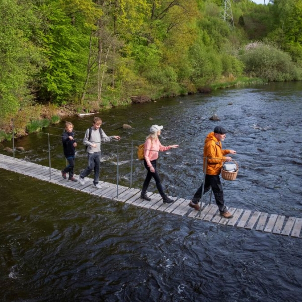 Vandrardag längs Laxaleden
