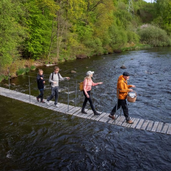 Vandrardag längs Laxaleden